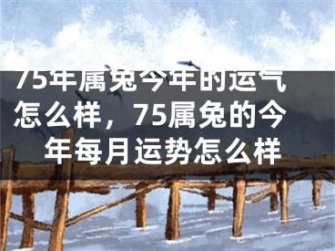 75年属兔今年的运气怎么样,75属兔的今年每月运势怎么样