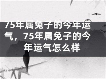 75年属兔子的今年运气,75年属兔子的今年运气怎么样