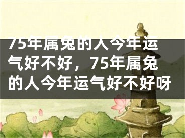 75年属兔的人今年运气好不好,75年属兔的人今年运气好不好呀