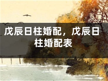 戊辰日柱婚配，戊辰日柱婚配表