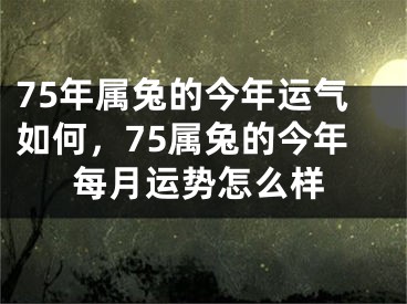 75年属兔的今年运气如何，75属兔的今年每月运势怎么样