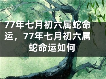77年七月初六属蛇命运，77年七月初六属蛇命运如何
