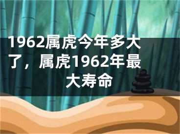 1962属虎今年多大了，属虎1962年最大寿命