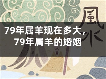 79年属羊现在多大,79年属羊的婚姻
