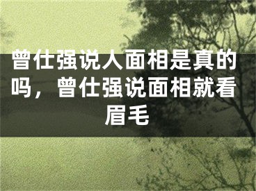 曾仕强说人面相是真的吗,曾仕强说面相就看眉毛