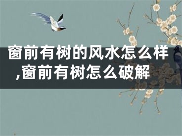 窗前有树的风水怎么样,窗前有树怎么破解