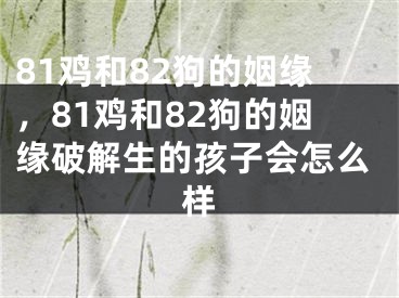 81鸡和82狗的姻缘,81鸡和82狗的姻缘破解生的孩子会怎么样