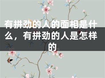 有拼劲的人的面相是什么，有拼劲的人是怎样的