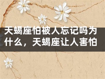 天蝎座怕被人忘记吗为什么,天蝎座让人害怕