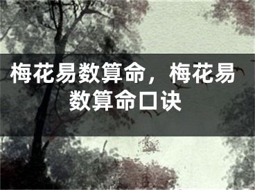 梅花易数算命，梅花易数算命口诀