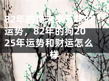 82年的狗未来五年的运势，82年的狗2025年运势和财运怎么样