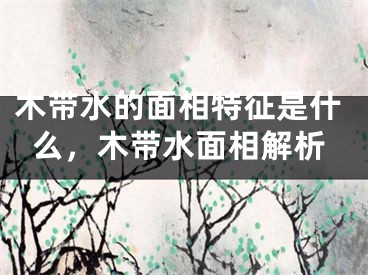 木带水的面相特征是什么，木带水面相解析