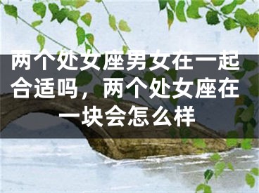 两个处女座男女在一起合适吗，两个处女座在一块会怎么样