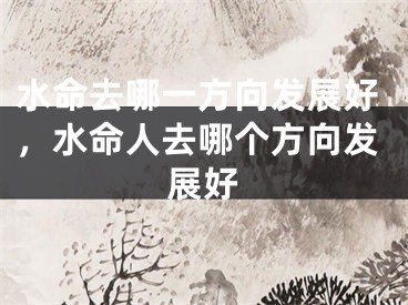 水命去哪一方向发展好,水命人去哪个方向发展好