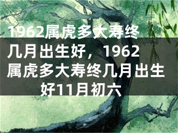 1962属虎多大寿终几月出生好，1962属虎多大寿终几月出生好11月初六