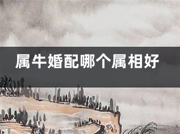 属牛婚配哪个属相好