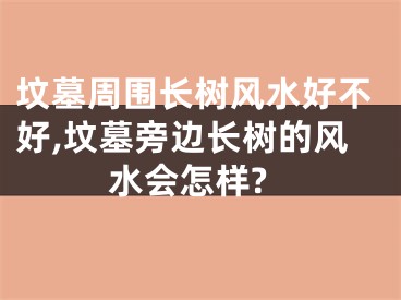 坟墓周围长树风水好不好,坟墓旁边长树的风水会怎样?