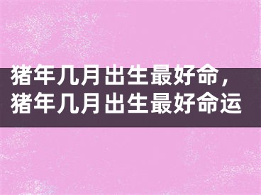 猪年几月出生最好命，猪年几月出生最好命运