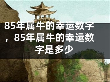85年属牛的幸运数字,85年属牛的幸运数字是多少