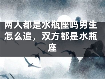 两人都是水瓶座吗男生怎么追，双方都是水瓶座