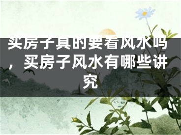 买房子真的要看风水吗，买房子风水有哪些讲究