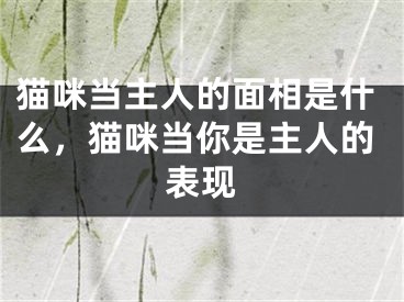 猫咪当主人的面相是什么，猫咪当你是主人的表现