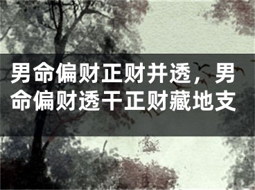 男命偏财正财并透，男命偏财透干正财藏地支