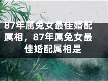 87年属兔女最佳婚配属相,87年属兔女最佳婚配属相是
