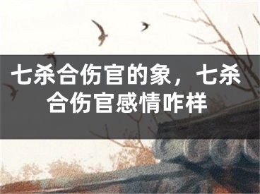 七杀合伤官的象，七杀合伤官感情咋样