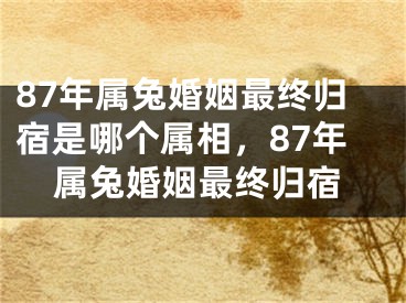 87年属兔婚姻最终归宿是哪个属相,87年属兔婚姻最终归宿