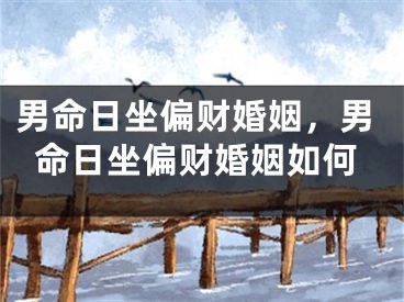 男命日坐偏财婚姻,男命日坐偏财婚姻如何