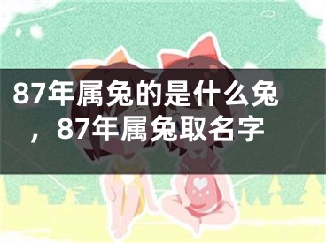 87年属兔的是什么兔，87年属兔取名字