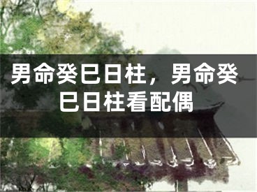 男命癸巳日柱，男命癸巳日柱看配偶