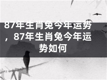 87年生肖兔今年运势，87年生肖兔今年运势如何