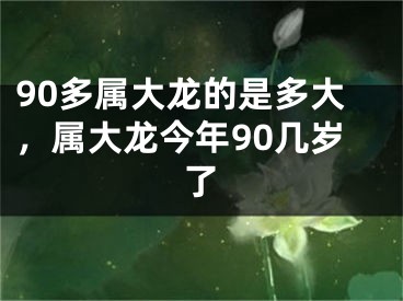 90多属大龙的是多大，属大龙今年90几岁了