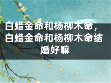 白蜡金命和杨柳木命，白蜡金命和杨柳木命结婚好嘛