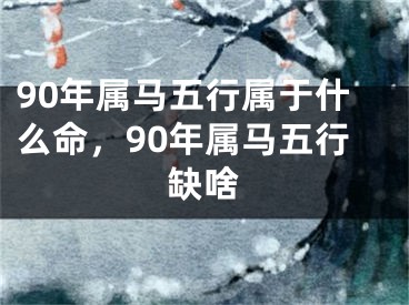 90年属马五行属于什么命,90年属马五行缺啥