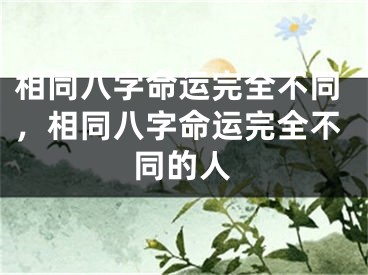 相同八字命运完全不同，相同八字命运完全不同的人