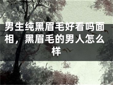 男生纯黑眉毛好看吗面相，黑眉毛的男人怎么样
