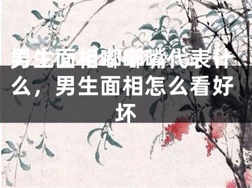男生面相嘟嘟嘴代表什么，男生面相怎么看好坏