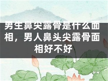 男生鼻尖露骨是什么面相，男人鼻头尖露骨面相好不好