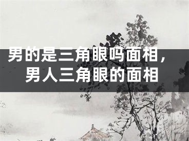 男的是三角眼吗面相，男人三角眼的面相