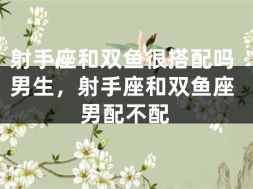 射手座和双鱼很搭配吗男生，射手座和双鱼座男配不配