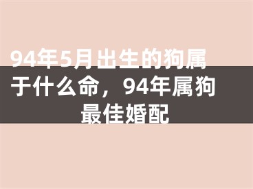 94年5月出生的狗属于什么命,94年属狗最佳婚配