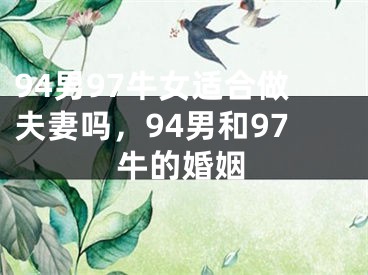 94男97牛女适合做夫妻吗,94男和97牛的婚姻