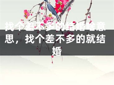 找个差不多的结婚啥意思，找个差不多的就结婚