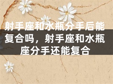 射手座和水瓶分手后能复合吗，射手座和水瓶座分手还能复合