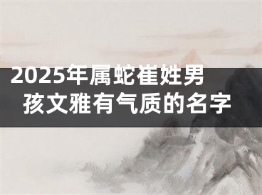 2025年属蛇崔姓男孩文雅有气质的名字