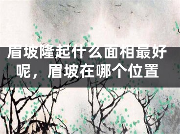 眉坡隆起什么面相最好呢,眉坡在哪个位置