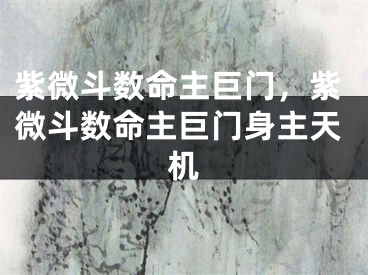 紫微斗数命主巨门,紫微斗数命主巨门身主天机